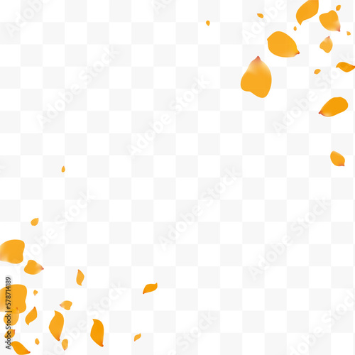 Delicate Rose Falling Vector Transparent