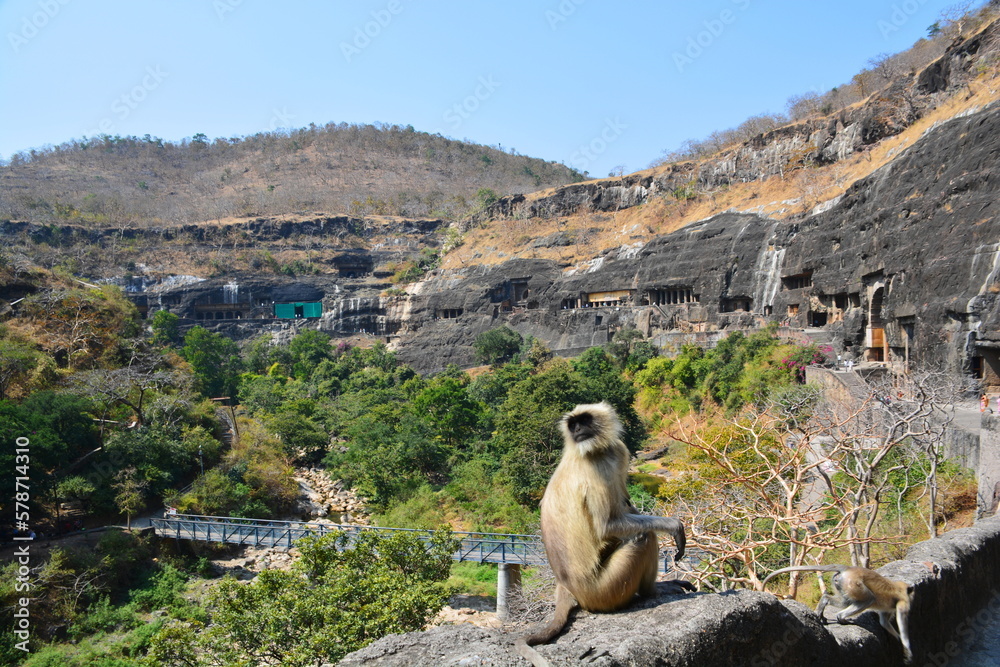 Obraz premium アジャンター石窟群に暮らすサル