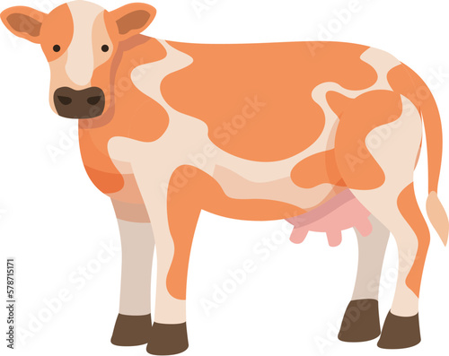 Guernsey cow icon cartoon vector. Farm breed. Eat grass photo