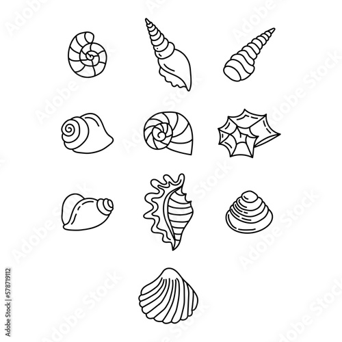 Illustration with seashell nautilus. Object for logo, card, flyer. Minimalist sign for logo, emblem, banner. Hand drawn illustration with ammonite fossil in modern style
