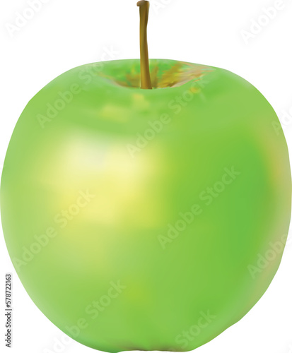 Photorealistic vector apple. File for designs.