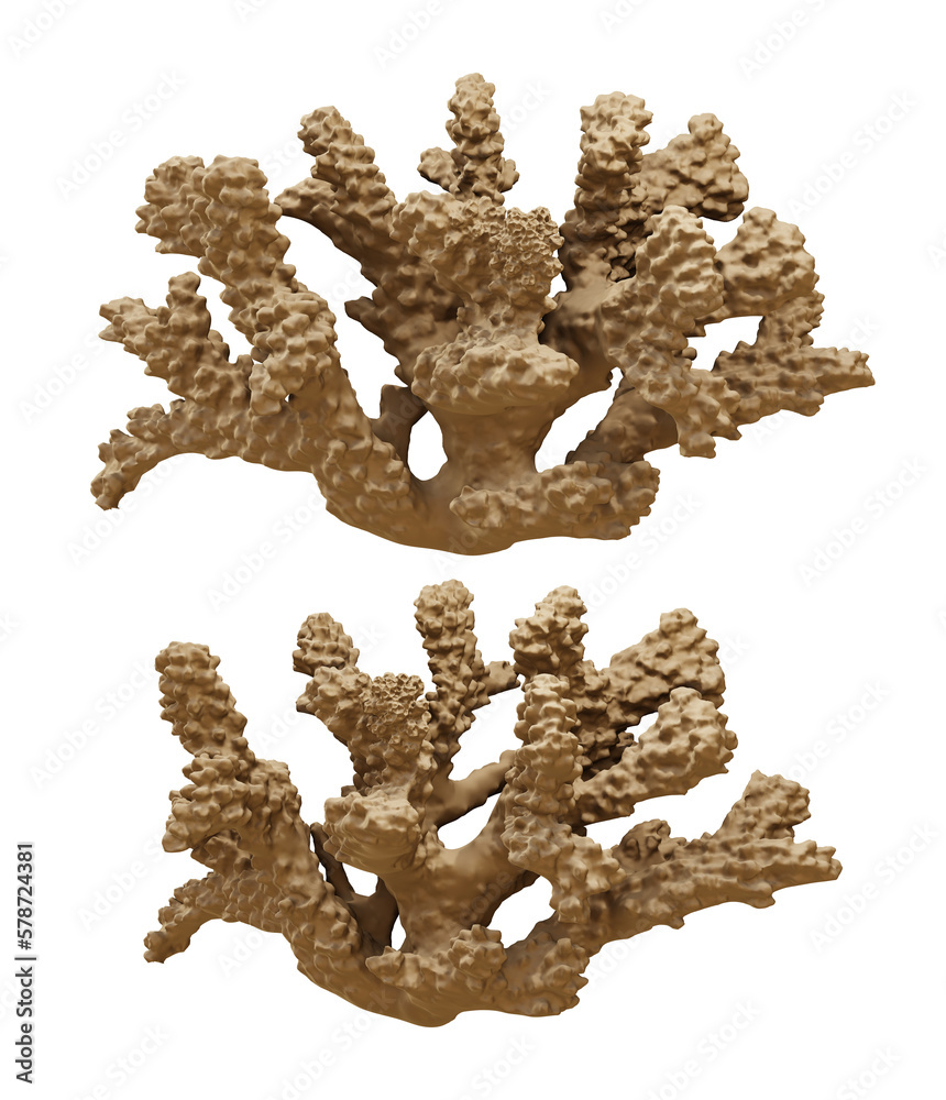 Obraz premium 3d rendering coral marine invertebrates hard skeleton perspective view