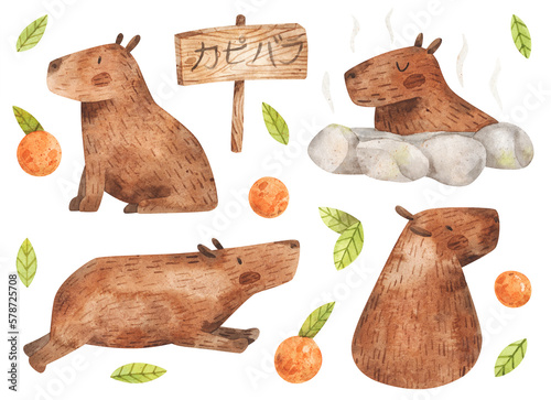 Watercolor illustrations of capybara and oranges. Hand-drawn cute animals.