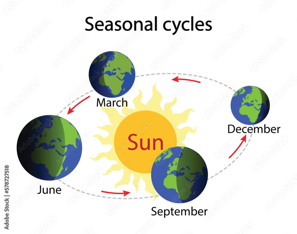 illustration of astronomy and physics, Seasonal cycles, The Earth revolves around the sun, seasons are the result of Earth's orbit illustration of astronomy and physics, Seasonal cycles, The Earth revolves around the sun, seasons are the result of Earth's orbit