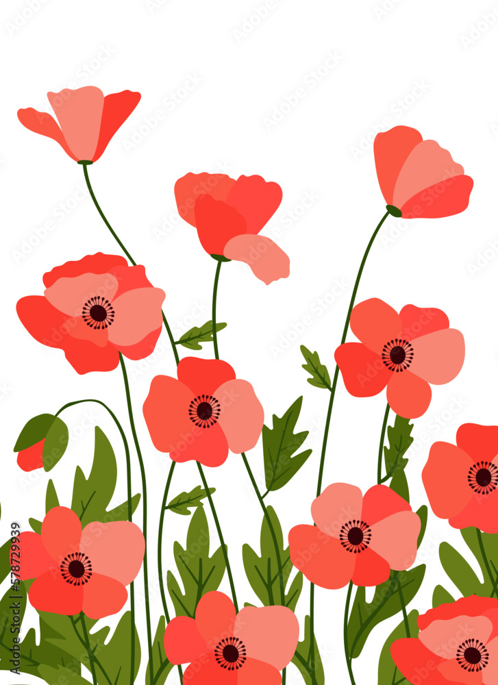 Fototapeta premium Red poppies on white background background.Eps 10 vector.