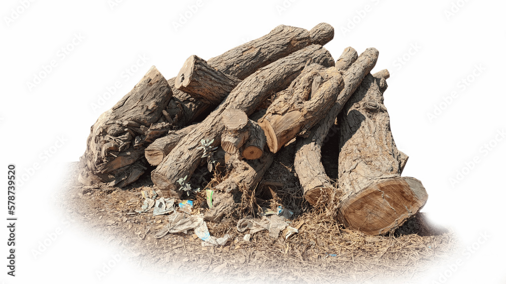 wooden PNG super high quality 