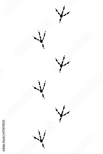 Animals feet track. Chicken black paw  walking feet silhouette or footprints. Trace step imprints isolated on white. Walking tracks paws illustration
