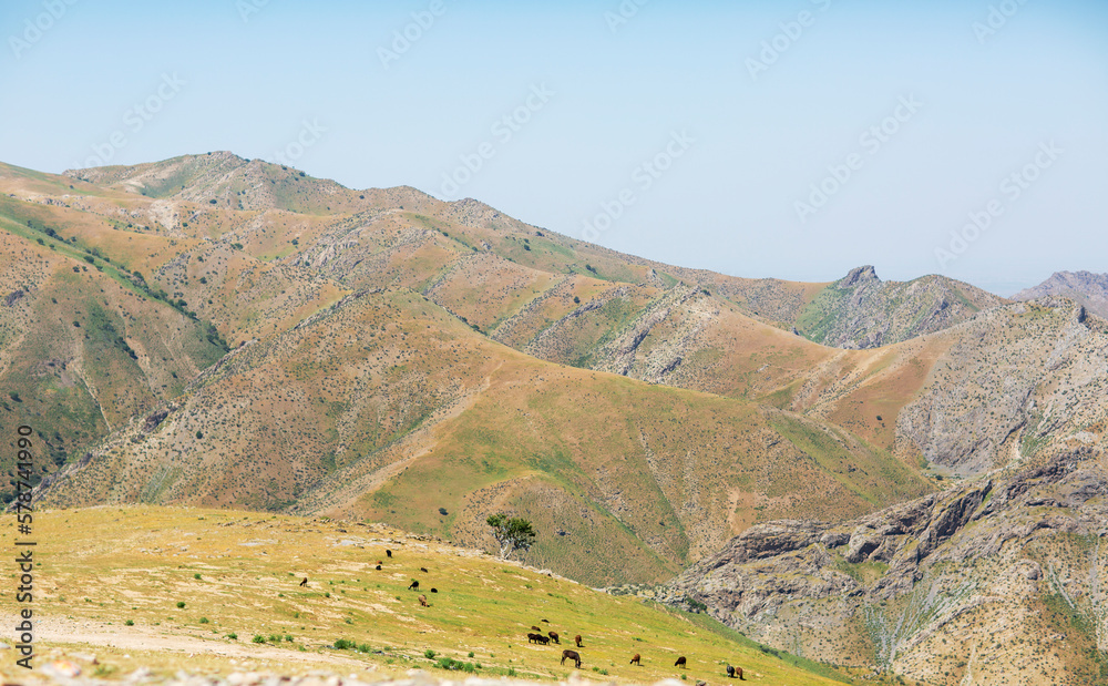 Mountain landscape in the steppe