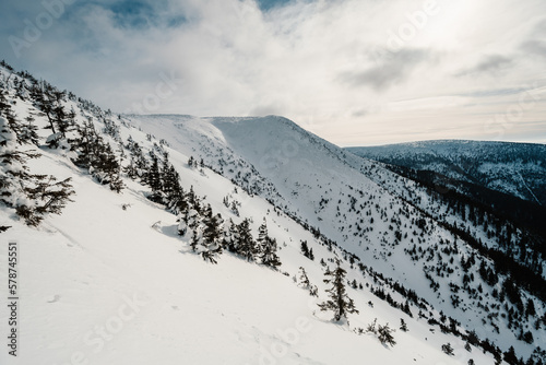 Alpine mountains landscape with white snow and blue sky. Sunset winter in nature. Frosty trees under warm sunlight. Krkonose Mountains National Park, Czech Republic ,Lucni bouda photo