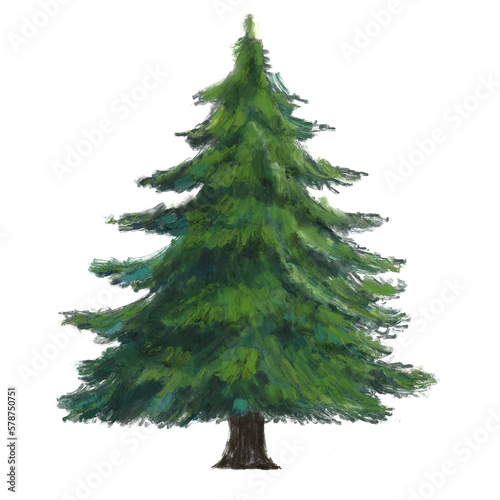 Pine tree isolated background digital illustration.Green plant.