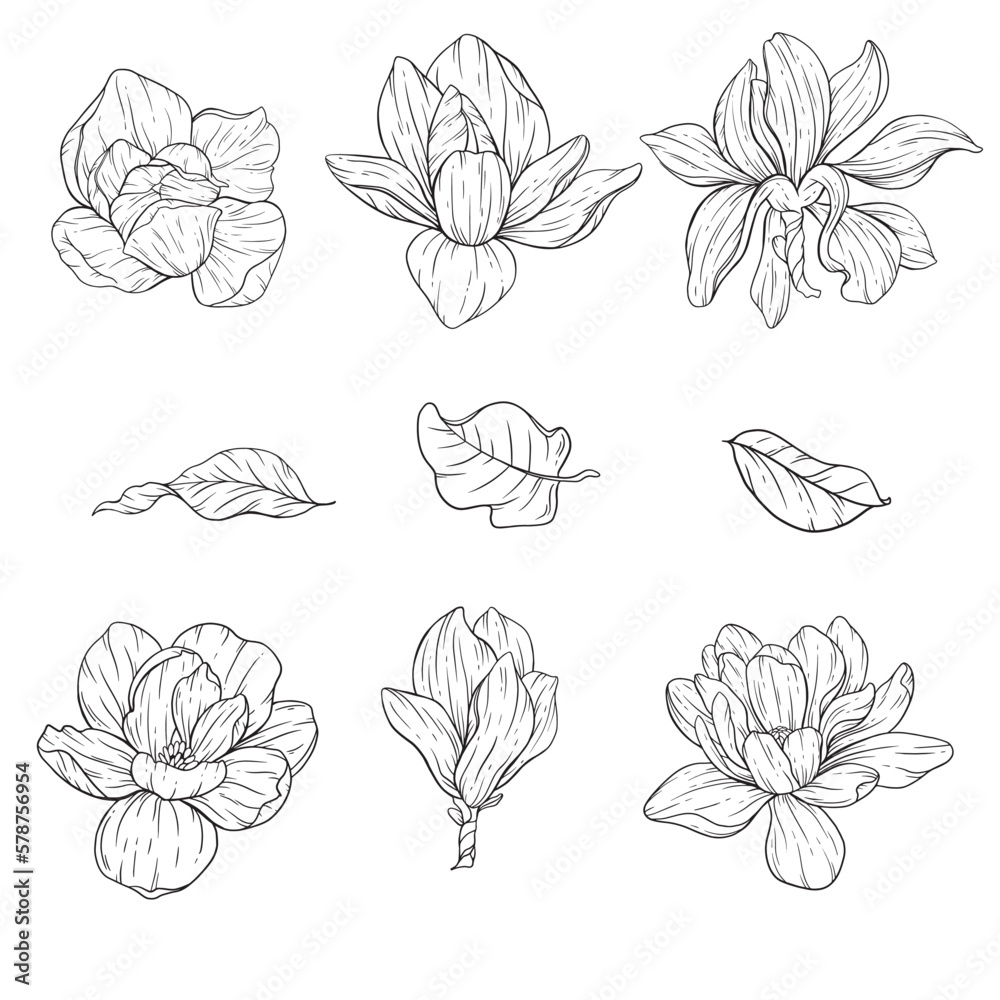 Floral Line Art. Magnolia Flower Outline for Floral Coloring Pages, Minimalist Modern Wedding invitations Floral Line Art. Magnolia Flower Outline for Floral Coloring Pages, Minimalist Modern Wedding invitations