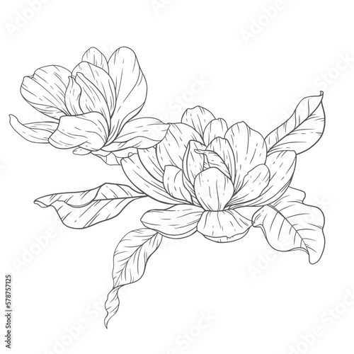 Floral Line Art. Magnolia Flower Outline for Floral Coloring Pages  Minimalist Modern Wedding invitations