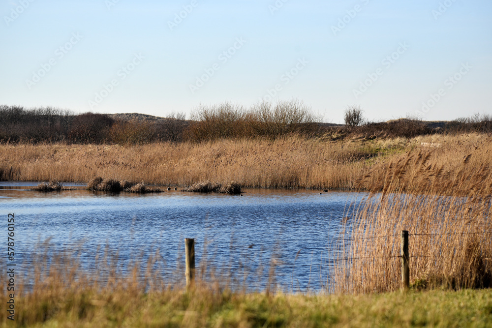 Den Helder, Netherlands. February 2023. The Grafelijkheidsduinen in Den Helder, Netherlands. Den Helder, Netherlands. February 2023. The Grafelijkheidsduinen in Den Helder, Netherlands.