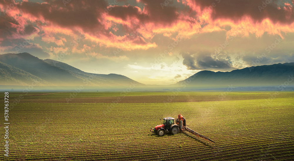 Fototapeta premium Tractor spraying soybean crops field