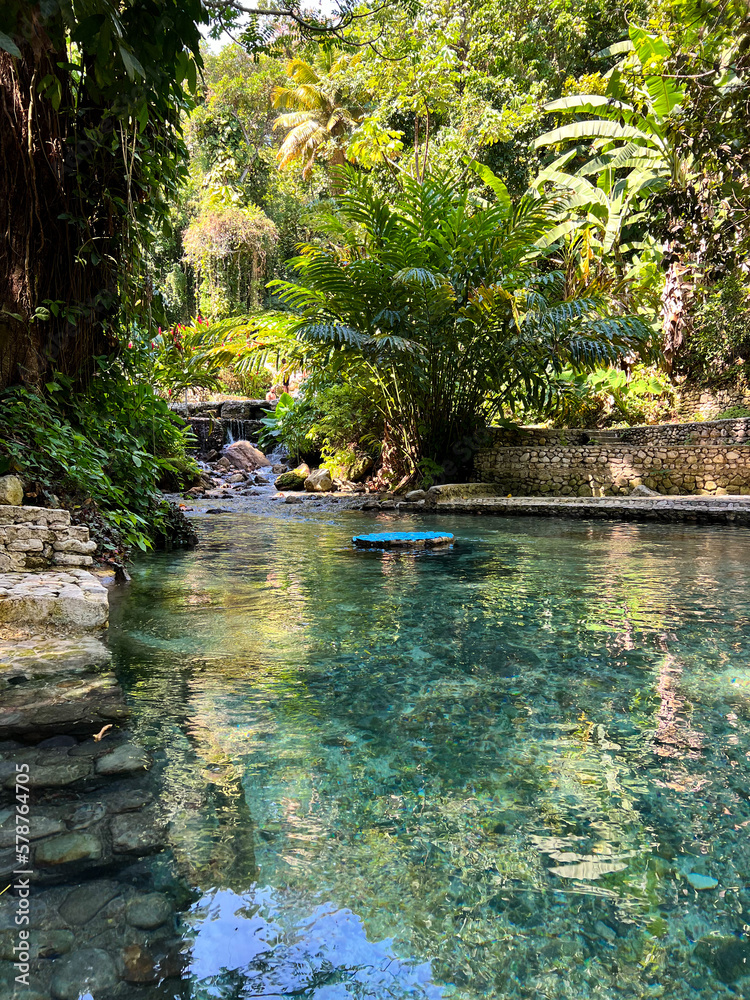 Fototapeta premium Beautiful vibrant Garden with waterfalls and colorful flowers 