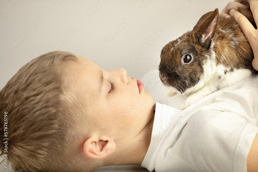 A little smiling boy lies with the little rabbit above and hugs him A little smiling boy lies with the little rabbit above and hugs him