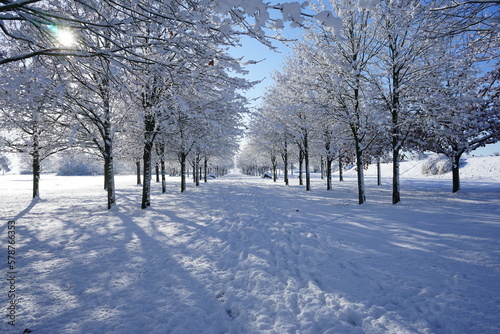 Eine winterliche Allee in einem Park in Brandenburg
