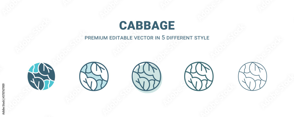 cabbage icon in 5 different style. Outline, filled, two color, thin cabbage icon isolated on white background. Editable vector can be used web and mobile