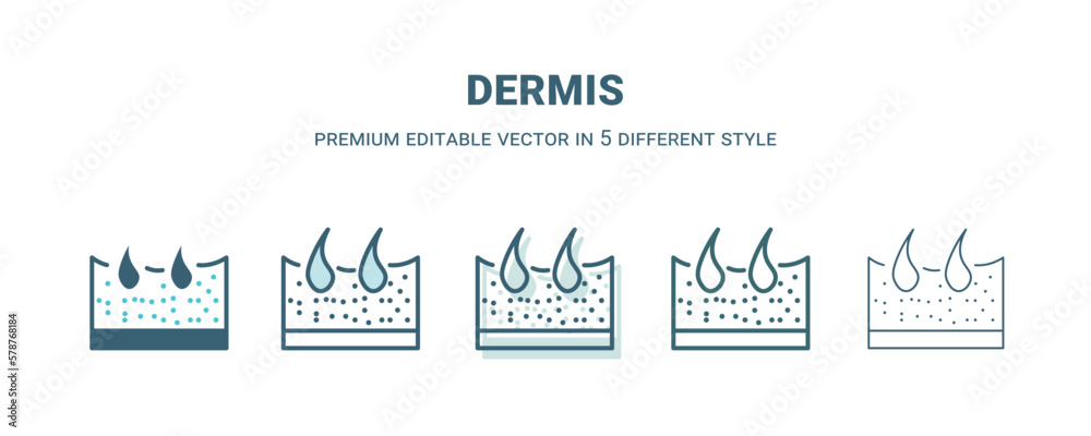 dermis icon in 5 different style. Outline, filled, two color, thin dermis icon isolated on white background. Editable vector can be used web and mobile