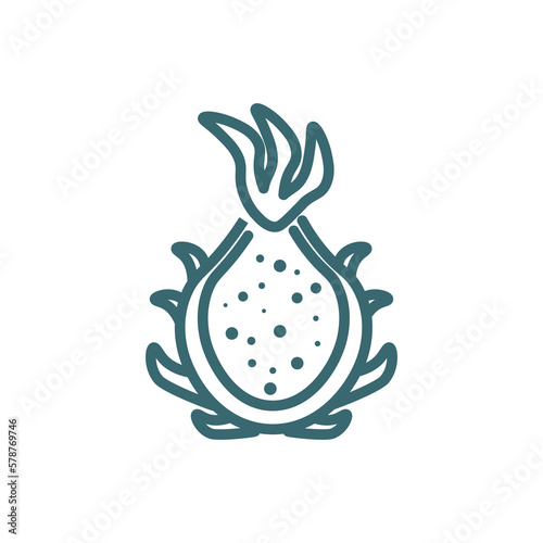 dragon fruit icon. Thin line dragon fruit icon from vegetables and fruits collection. Outline vector isolated on white background. Editable dragon fruit symbol can be used web and mobile
