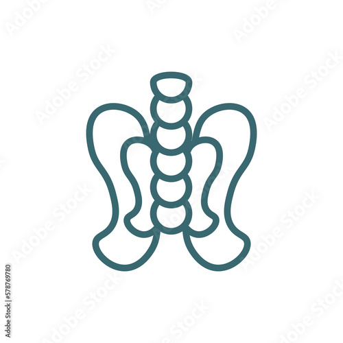 pelvis icon. Thin line pelvis icon from medical and healthcare collection. Outline vector isolated on white background. Editable pelvis symbol can be used web and mobile