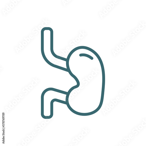 esophagus icon. Thin line esophagus icon from medical and healthcare collection. Outline vector isolated on white background. Editable esophagus symbol can be used web and mobile
