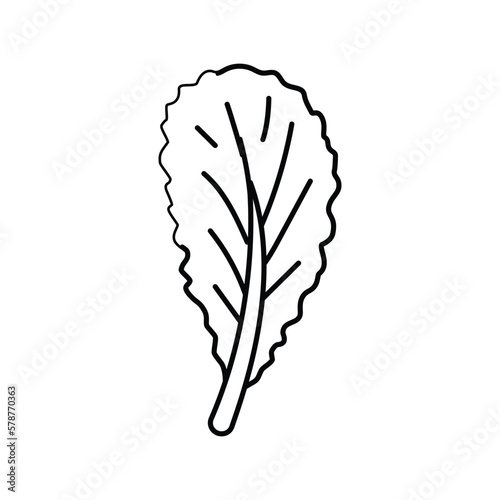 mustard greens salad food line icon vector illustration
