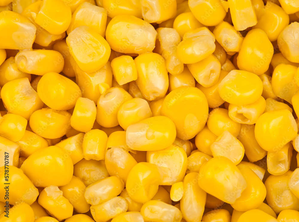 Delicious ripe corn grain as a texture Delicious ripe corn grain as a texture