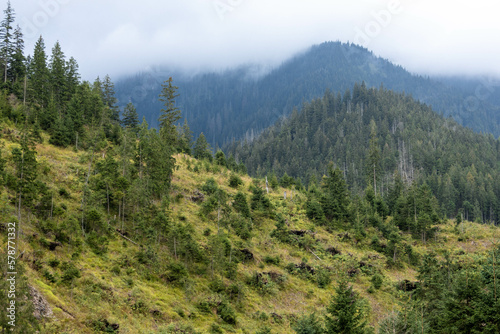 Mountains covered with trees