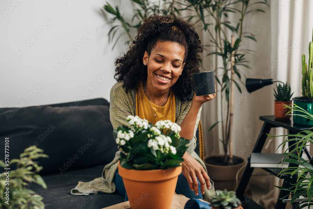A beautiful mixed race woman enjoys looking at her houseplants A beautiful mixed race woman enjoys looking at her houseplants