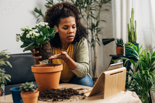 A beautiful mixed race woman is following the instructions on how to replant a houseplant into a bigger pot correctly
