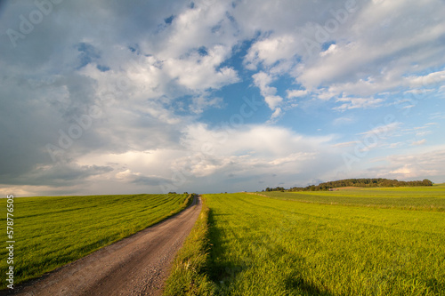 landscape with a field  road and sky