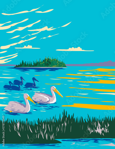 WPA poster art of pelicans in Astotin Lake within Elk Island National Park in Alberta, Canada done in works project administration.