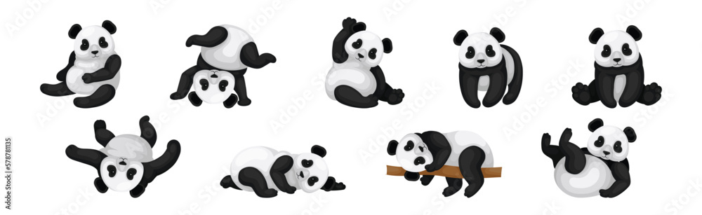 Black and White Giant Panda Bear in Different Pose Vector Set Black and White Giant Panda Bear in Different Pose Vector Set