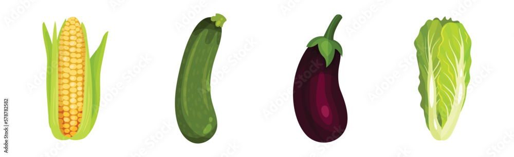 Raw Vegetables as Ripe Garden Crop Vector Set Raw Vegetables as Ripe Garden Crop Vector Set