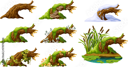 Stump with liana branches, ivy, cattails, bulrush. Log in honey mushrooms, under snow, with fungus. Cartoon broken tree in moss in swamp jungle. Isolated vector elements game on white background.
