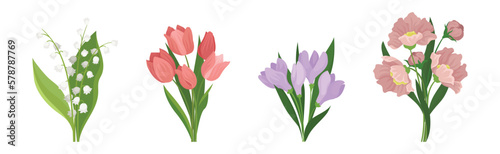 Meadow Flower Blossom with Stems Bouquet Vector Set