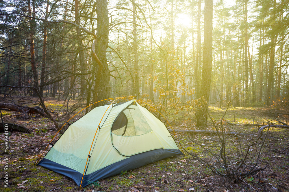 closeup small touristic tent stay on forest glade at the sunrise