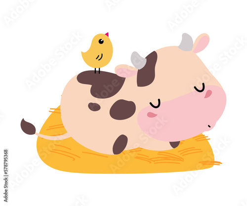 Cute happy spotted baby cow sleeping on hay. Adorable farm animal character cartoon vector illustration