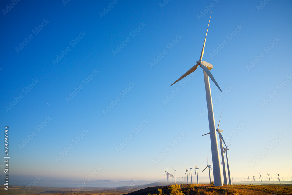 Wind turbine generators for renewable electricity production Wind turbine generators for renewable electricity production