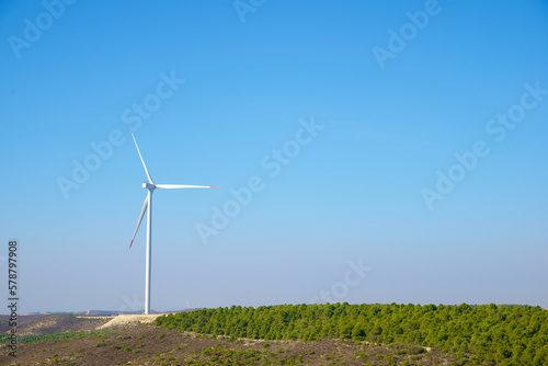 Wind turbine generator for green electricity production