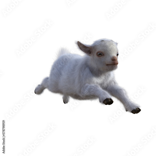 Goat baby character on transparent background. 3d rendering illustration for collage  clipart  composting  pose.