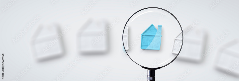 house of white color and the blue one focused by a magnifying glass - concept of buying / selling houses house of white color and the blue one focused by a magnifying glass - concept of buying / selling houses