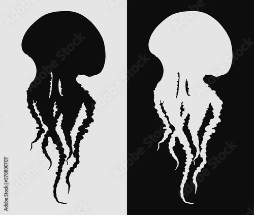 Hand drawn jellyfish isolated illustration set in black and white. Medusa with long tentacles silhouette photo