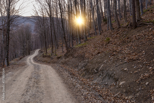 Scenic view of a leafless beech forest at the beginning of spring, dirt road passes through and the setting sun sends its last rays through the trees. The ground is covered with dead leaves