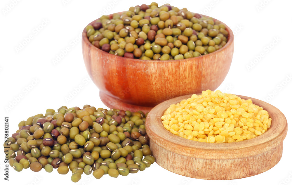 Mung bean