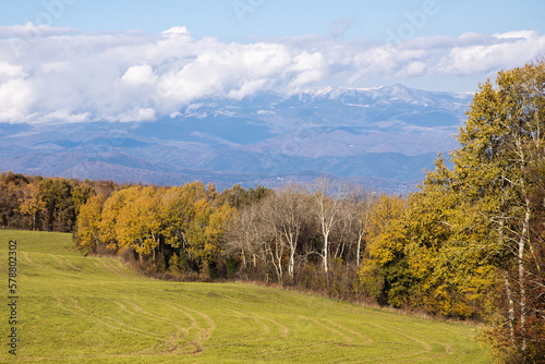 Landscape of green field and yellow forest with snowy mountains in background, Catalonian winter, Spain