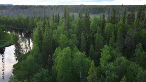 Forward movement revealing a forest and swamp wilderness landscape with mist in Lapland, Finland