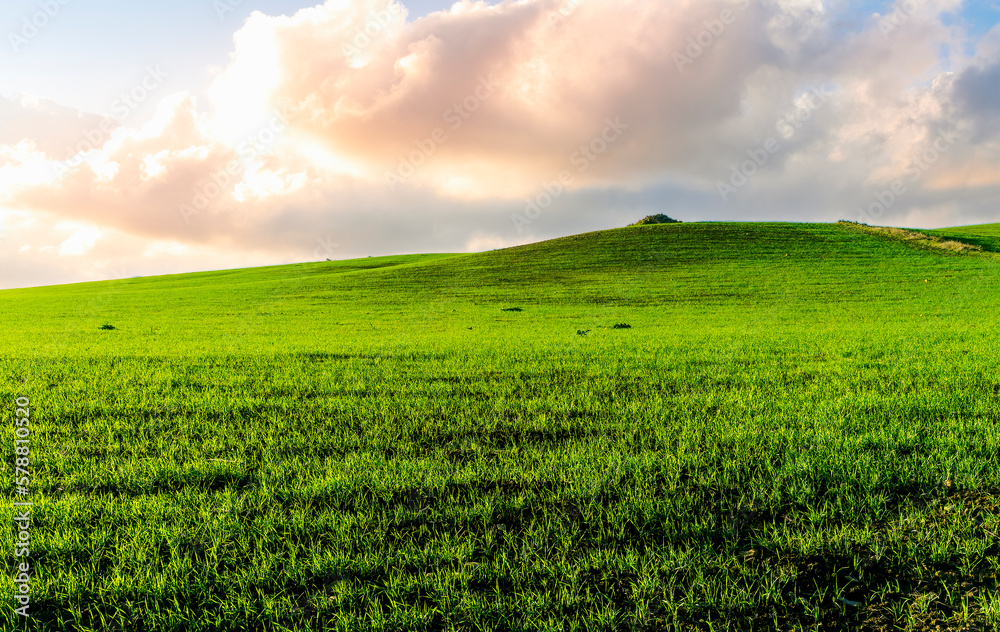 spring landscape of a countryside with beautiful green rural field