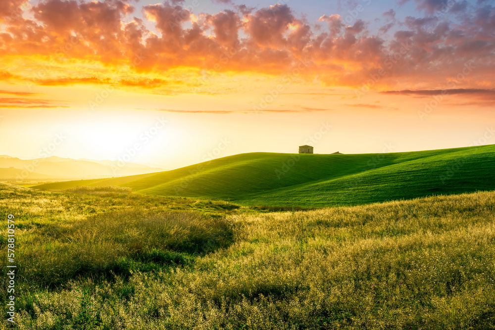 Obraz premium green field in countryside at sunset in the evening light. beautiful spring landscape in the mountains. grassy field and hills. rural scenery